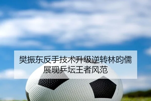 樊振东反手技术升级逆转林昀儒 展现乒坛王者风范